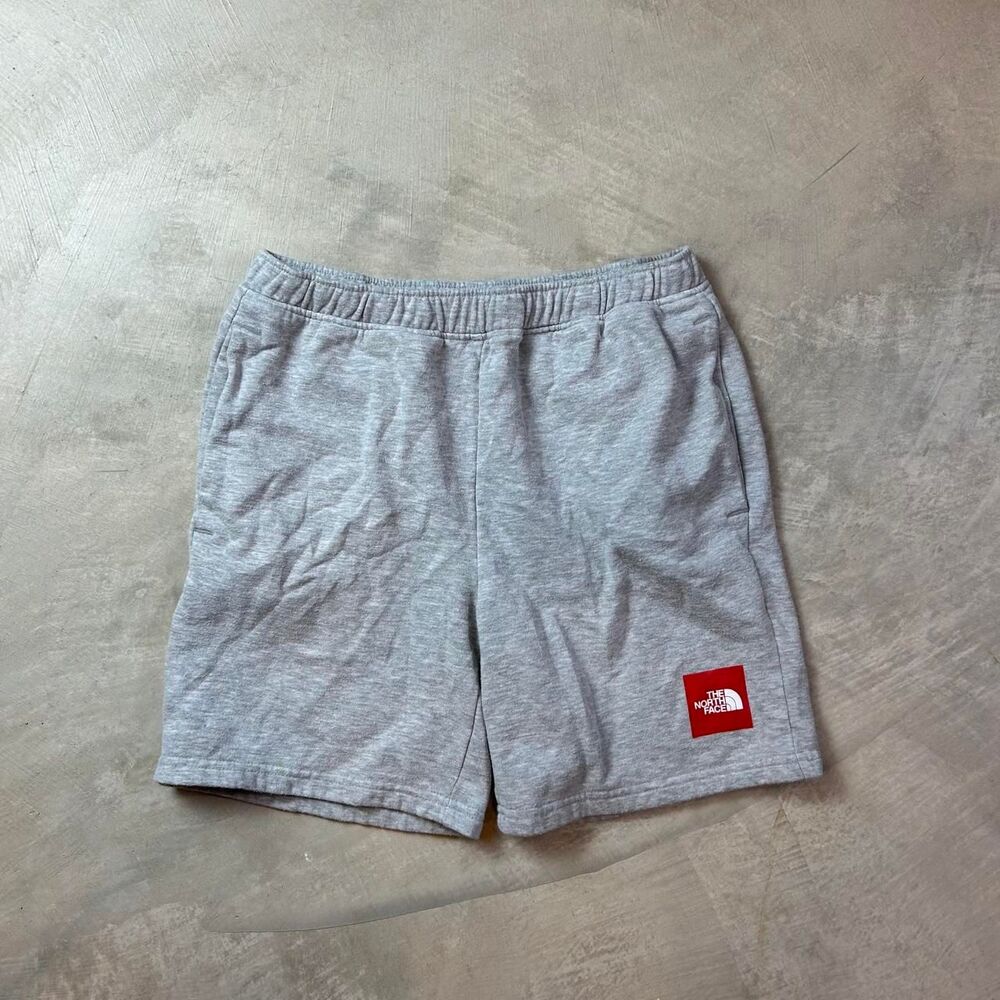 The-north-face Men's Grey Shorts